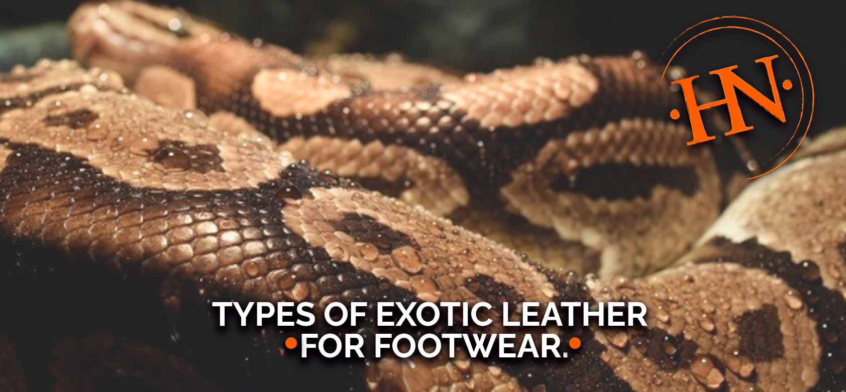Types of Exotic Leather for Footwear. La horma de tu negocio