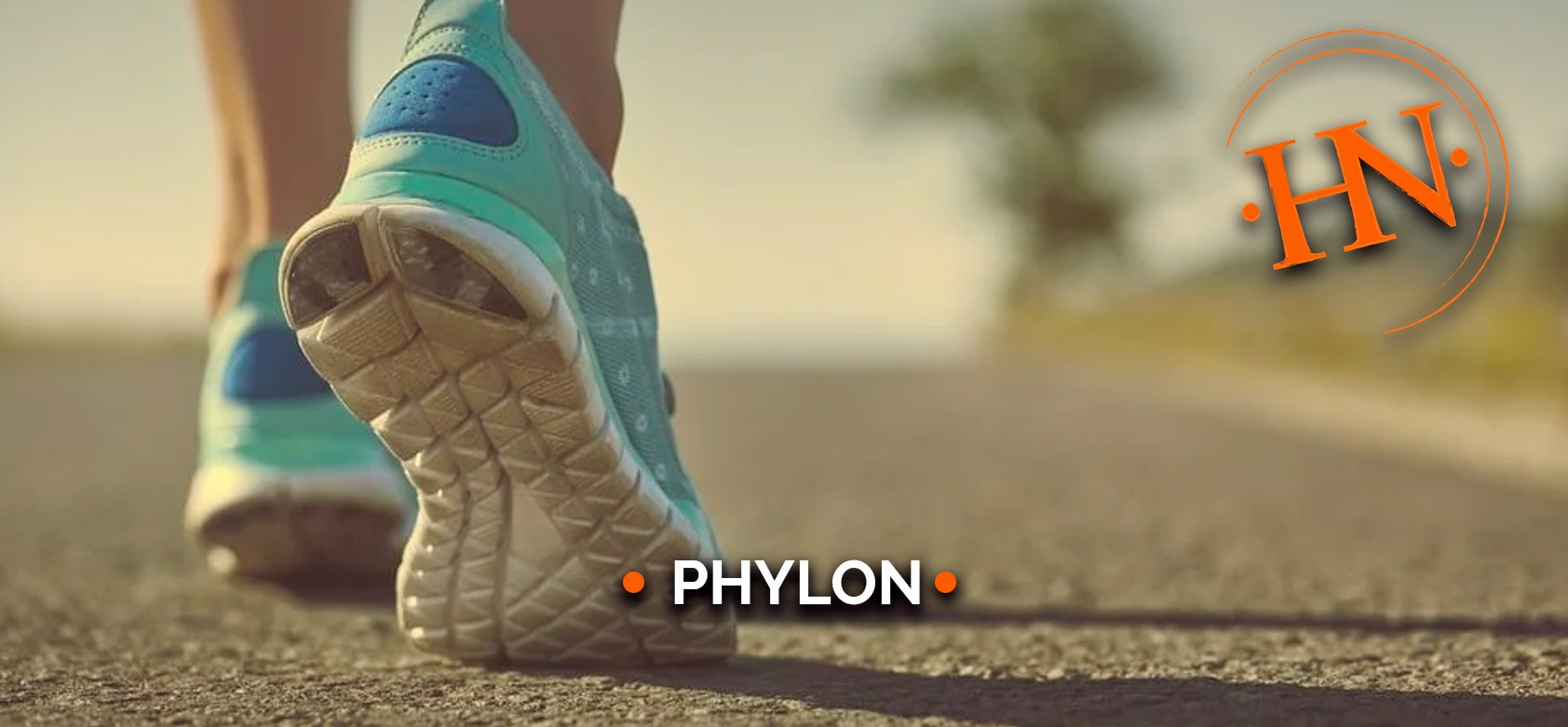 phylon